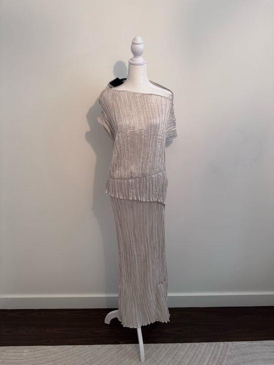 Massimo Dutti Dresses & Skirts - Massimo Dutti Champagne Pleated Blouse